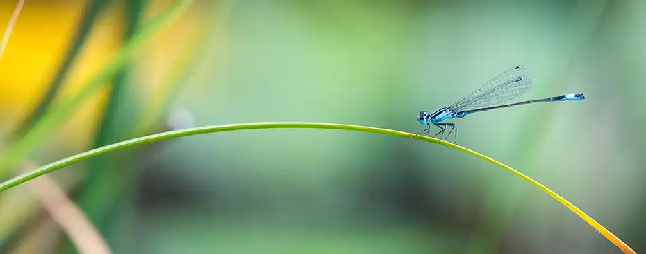 biodiversite touch garonne